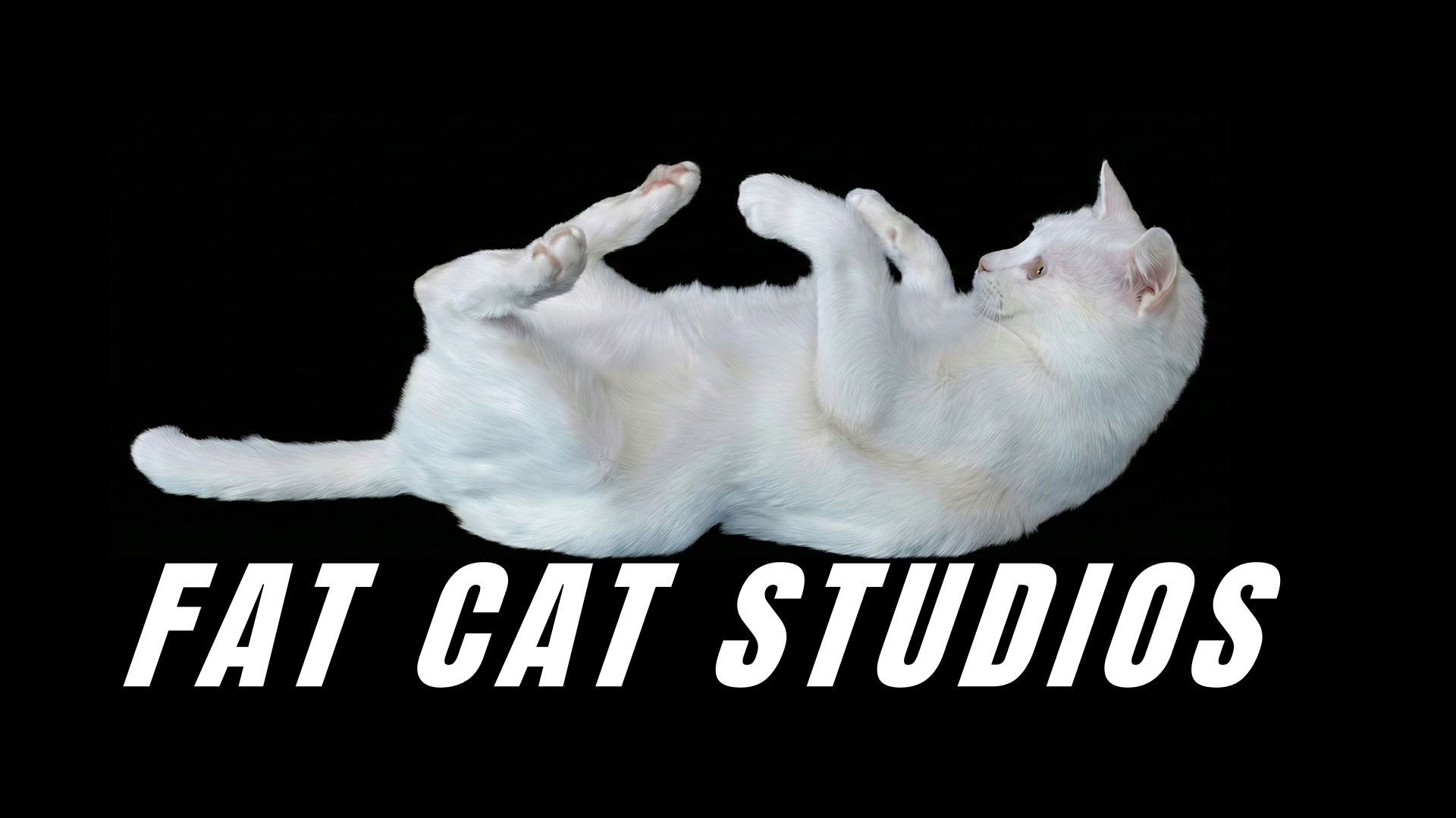 Una bella foto ospitata sul Raspberry